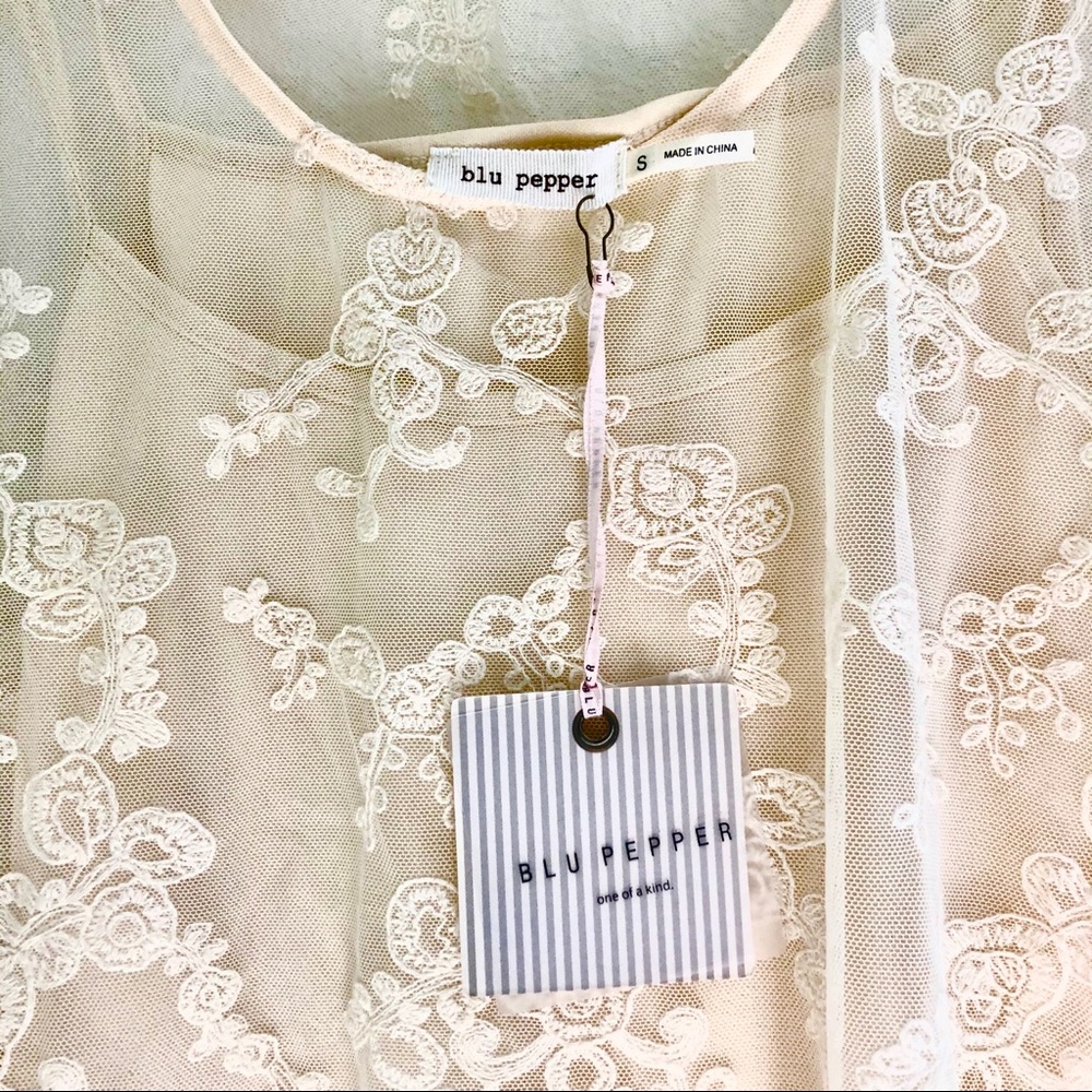 Blu Pepper sheer Lace blouse - Picture 6 of 6